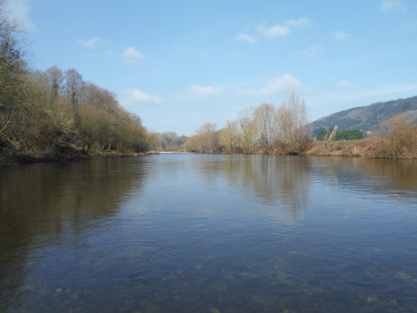 Peter's Pool on the Usk - early spring